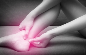 The Achilles Tendon Controls Pointing and Flexing the Foot